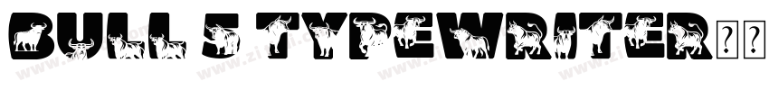 Bull 5 Typewriter字体转换